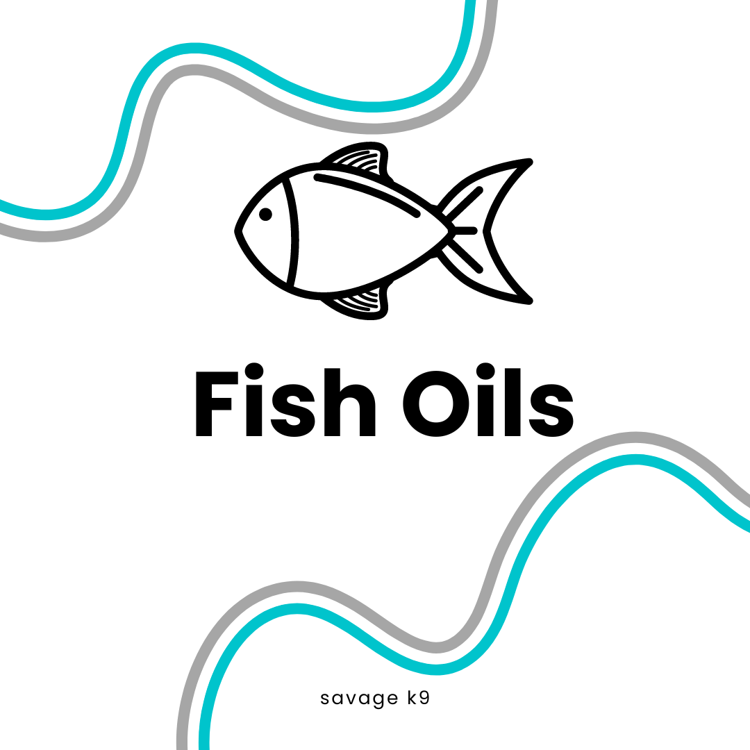 Fish Oils