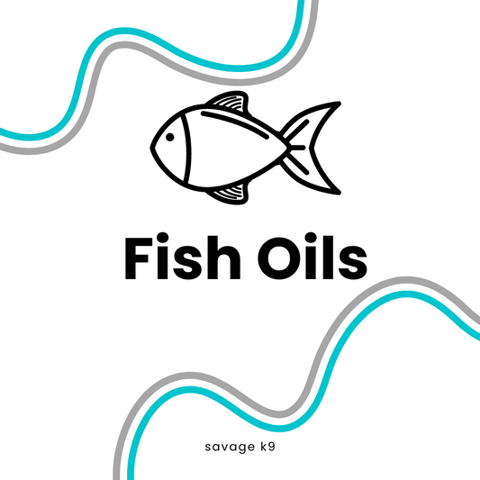 Fish Oils