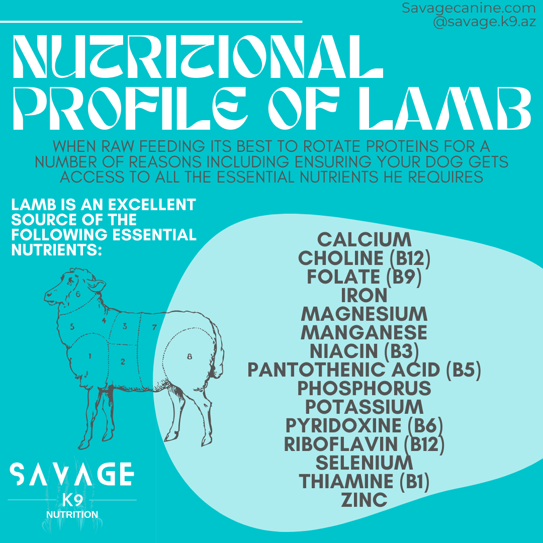 THE LAMB RECIPE